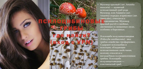 мескалин Верхний Тагил
